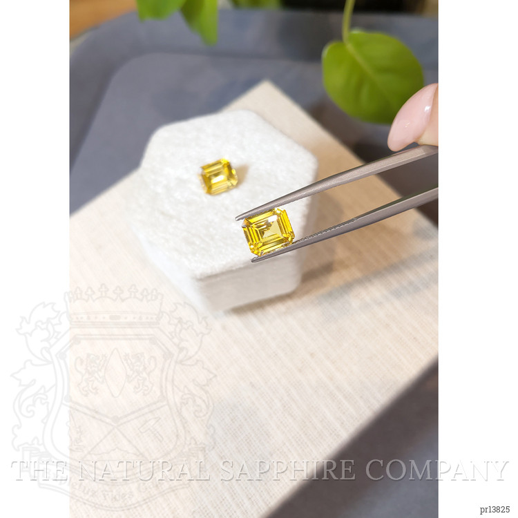 6.12 Ct.Tw. Yellow Sapphire Pair from Ceylon (Sri Lanka)