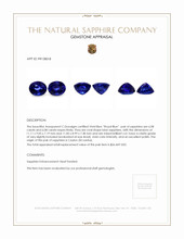 12.16&nbsp;Ct.Tw.Total Carat Weight Blue Sapphire Pair from Ceylon (Sri Lanka) Appraisal