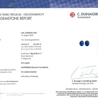 12.16 Ct.Tw.Total Carat Weight Blue Sapphire Pair from Ceylon (Sri Lanka) Scan Report