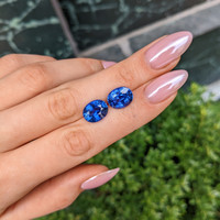 13.16&nbsp;Ct.Tw.Total Carat Weight Blue Sapphire Pair from Ceylon (Sri Lanka) Life Style