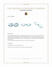 2.00 Ct.Tw.Total Carat Weight Blue Aquamarine Pair from Madagascar Appraisal