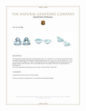 2.44 Ct.Tw.Total Carat Weight Blue Aquamarine Pair from Madagascar Appraisal