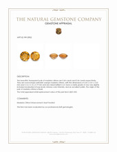 0.88&nbsp;Ct.Tw.Total Carat Weight Yellowish Orange Madeira Citrine Pair from Brazil Appraisal