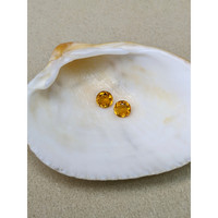 0.84&nbsp;Ct.Tw.Total Carat Weight Yellowish Orange Madeira Citrine Pair from Brazil Life Style
