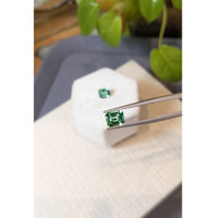 2.36&nbsp;Ct.Tw.Total Carat Weight Bluish Green Tourmaline Pair from Namibia Life Style