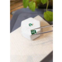 2.36 Ct.Tw.Total Carat Weight Bluish Green Tourmaline Pair from Namibia Life Style