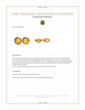 0.74&nbsp;Ct.Tw.Total Carat Weight Yellow Madeira Citrine Pair from Brazil Appraisal