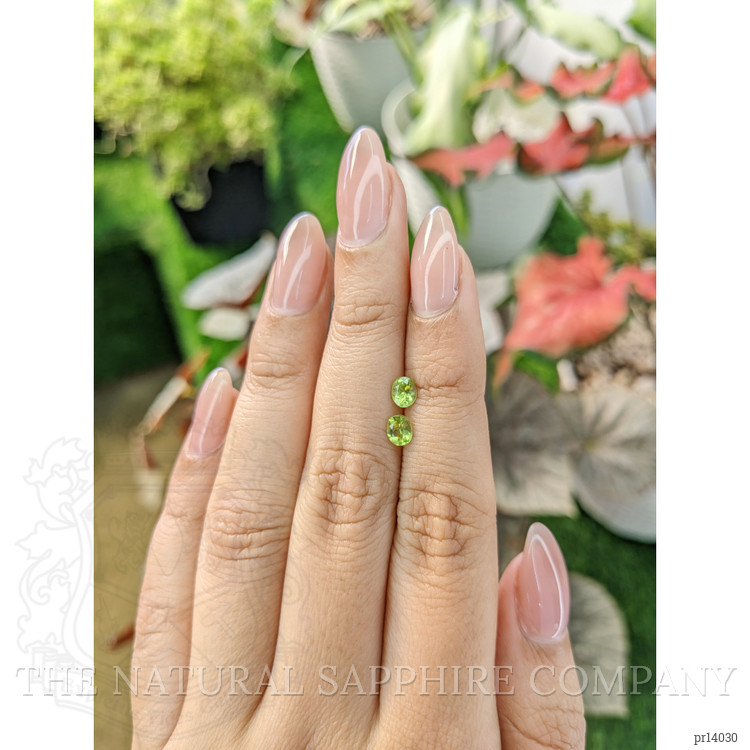 0.72 Ct.Tw. Peridot Pair from Ceylon (Sri Lanka)