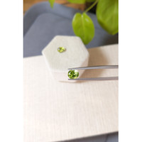 2.42&nbsp;Ct.Tw.Total Carat Weight Green Peridot Pair from Burma (Myanmar) Life Style