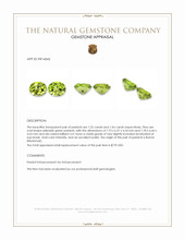 3.08&nbsp;Ct.Tw.Total Carat Weight Yellowish Green Peridot Pair from Burma (Myanmar) Appraisal