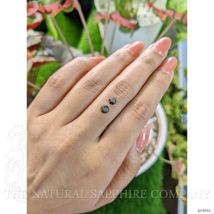 1.06 Ct.Tw. Black Cabochon Star Sapphire Pair from Ceylon (Sri Lanka)