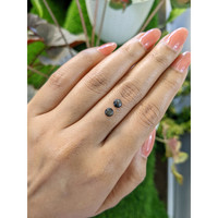 0.98&nbsp;Ct.Tw.Total Carat Weight Black Star Sapphire Pair from Ceylon (Sri Lanka) Life Style