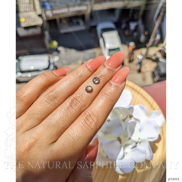 1.28 Ct.Tw. Greenish Brown Star Sapphire Pair from Ceylon (Sri Lanka)