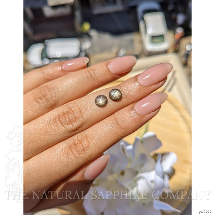 1.74 Ct.Tw. Brown Star Sapphire Pair from Ceylon (Sri Lanka)