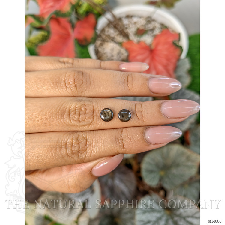 1.74 Ct.Tw. Brown Star Sapphire Pair from Ceylon (Sri Lanka)