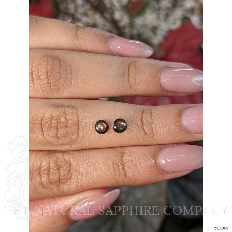 0.84 Ct.Tw. Black Star Sapphire Pair from Ceylon (Sri Lanka)