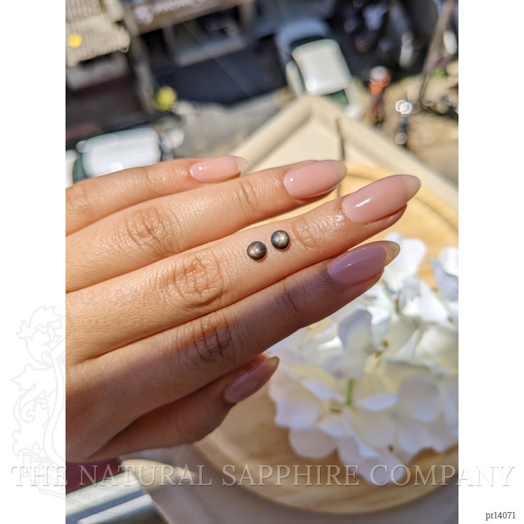 1.06 Ct.Tw. Black Star Sapphire Pair from Ceylon (Sri Lanka)