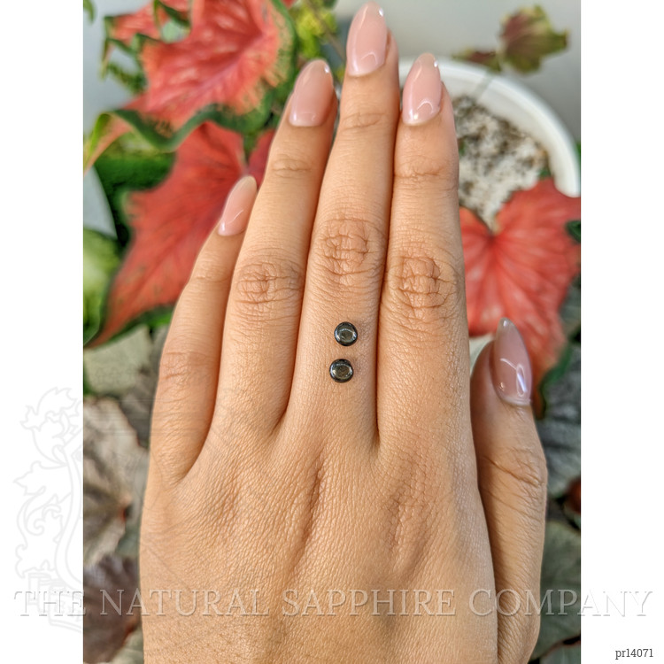 1.06 Ct.Tw. Black Star Sapphire Pair from Ceylon (Sri Lanka)