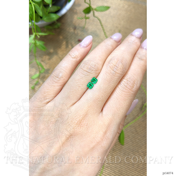 0.49 Ct.Tw. Emerald Pair from Zambia