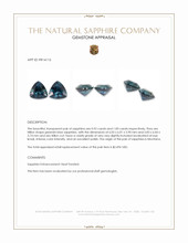 1.92 Ct.Tw.Total Carat Weight Greenish Blue Sapphire Pair from Montana Appraisal