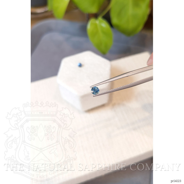 0.63 Ct.Tw. Greenish Blue Sapphire Pair from Montana