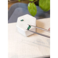 0.93&nbsp;Ct.Tw.Total Carat Weight Bluish Green Tourmaline Pair from Brazil Life Style
