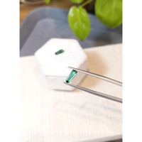 1.16 Ct.Tw.Total Carat Weight Bluish Green Tourmaline Pair from Brazil Life Style