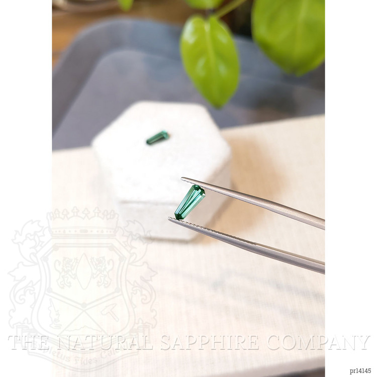 1.16 Ct.Tw. Bluish Green Tourmaline Pair from Brazil