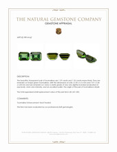 2.62&nbsp;Ct.Tw.Total Carat Weight Green Tourmaline Pair from Brazil Appraisal