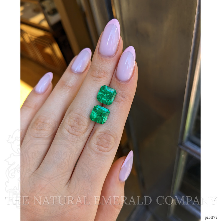9.12 Ct.Tw. Emerald Pair from Colombia