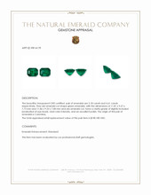 9.79&nbsp;Ct.Tw.Total Carat Weight Emerald Pair from Colombia Appraisal