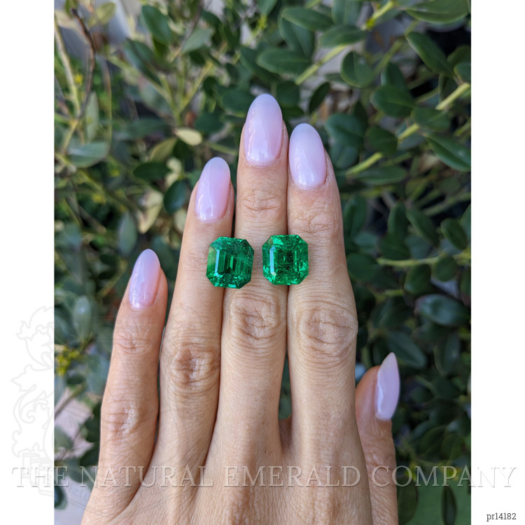 15.72 Ct.Tw. Emerald Pair from Zambia