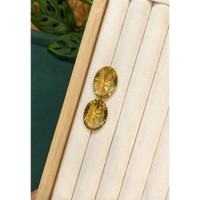 35.45&nbsp;Ct.Tw.Total Carat Weight Yellowish Brown Citrine Pair from Brazil Life Style