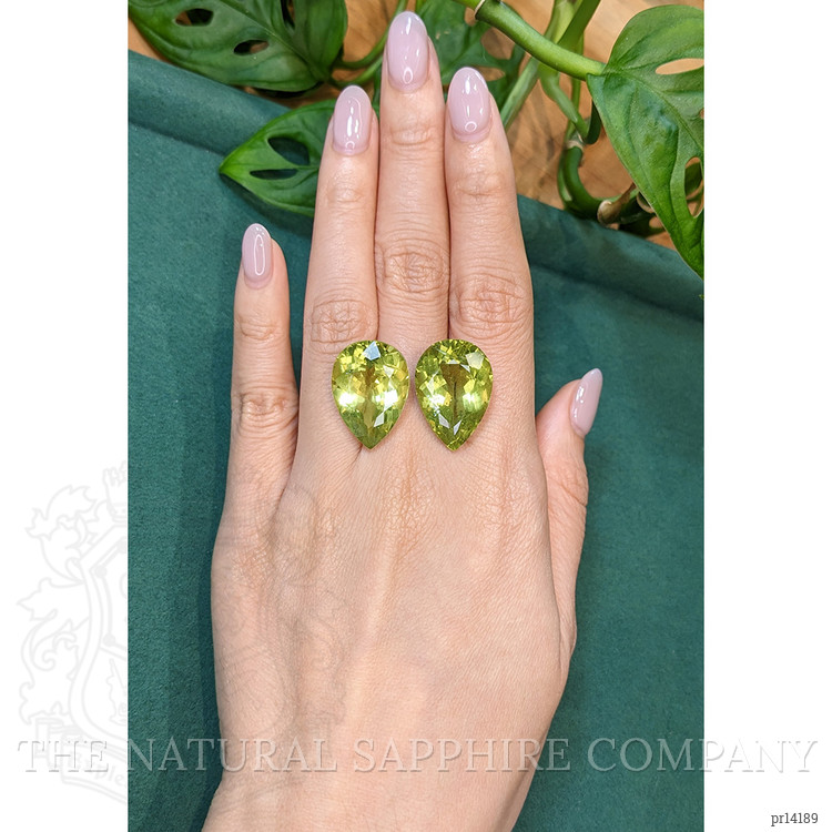 43.87 Ct.Tw. Yellowish Green Apatite Pair from Madagascar