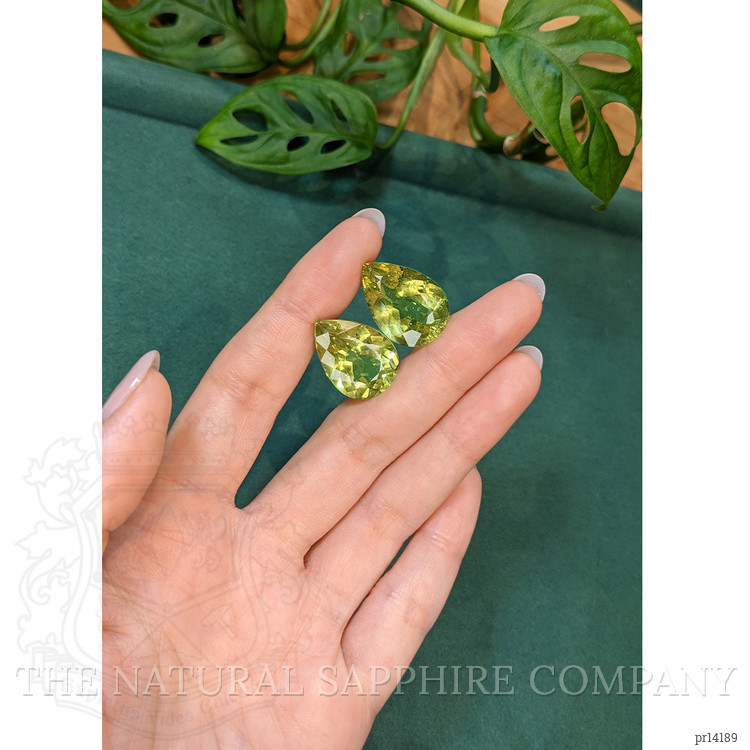 43.87 Ct.Tw. Yellowish Green Apatite Pair from Madagascar