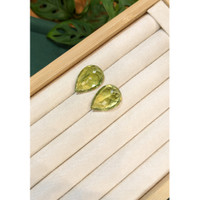 43.87&nbsp;Ct.Tw.Total Carat Weight Yellowish Green Apatite Pair from Madagascar Life Style