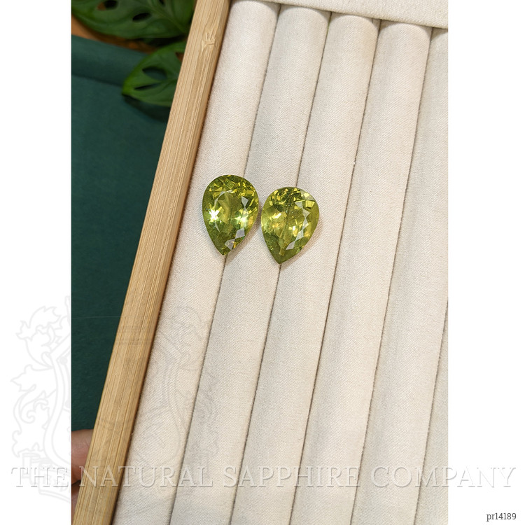 43.87 Ct.Tw. Yellowish Green Apatite Pair from Madagascar