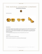 41.36 Ct.Tw.Total Carat Weight Yellowish Orange Heliodor Pair from Namibia Appraisal
