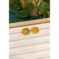 41.36&nbsp;Ct.Tw.Total Carat Weight Yellowish Orange Heliodor Pair from Namibia Life Style