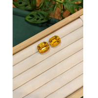 41.36&nbsp;Ct.Tw.Total Carat Weight Yellowish Orange Heliodor Pair from Namibia Life Style