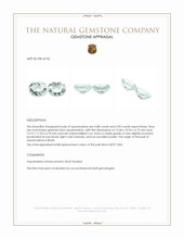 11.78&nbsp;Ct.Tw.Total Carat Weight Greenish Blue Aquamarine Pair from Brazil Appraisal