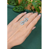 11.78&nbsp;Ct.Tw.Total Carat Weight Greenish Blue Aquamarine Pair from Brazil Life Style