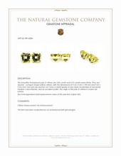 9.77 Ct.Tw.Total Carat Weight Yellow Citrine Pair from Ceylon (Sri Lanka) Appraisal