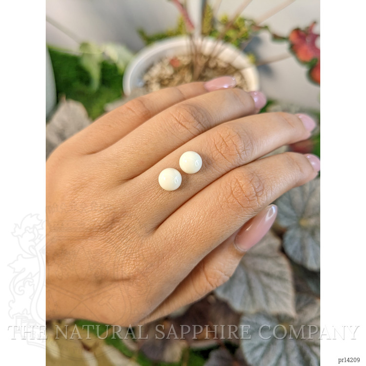 3.80 Ct.Tw. Salmon and White Cabochon Coral Pair from Italy