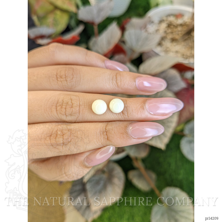 3.80 Ct.Tw. Salmon and White Cabochon Coral Pair from Italy