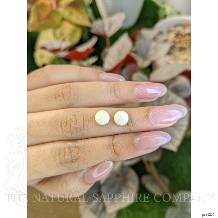 3.64 Ct.Tw. Salmon and White Cabochon Coral Pair from Italy