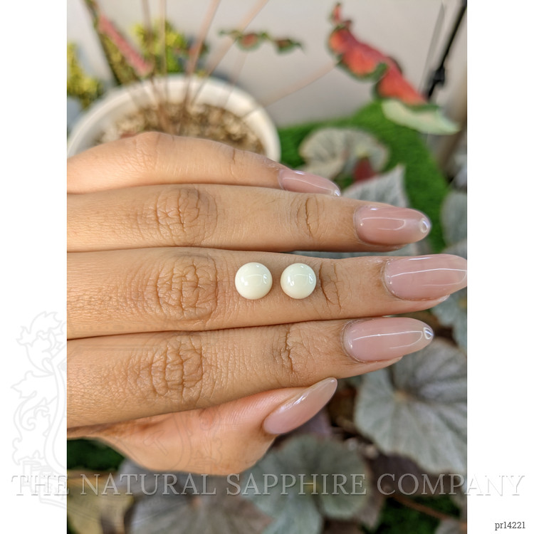 3.25 Ct.Tw. Salmon and White Cabochon Coral Pair from Italy