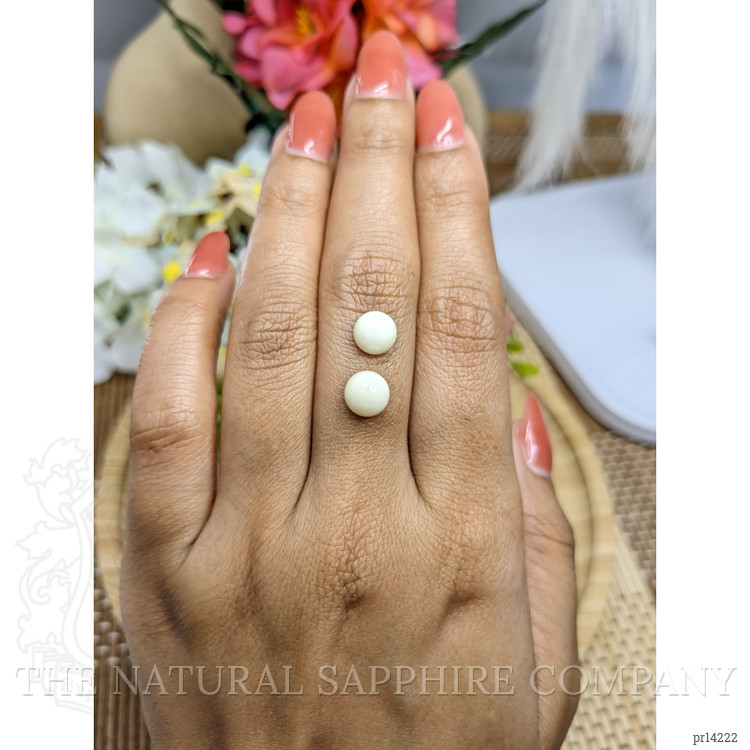 3.54 Ct.Tw. Salmon and White Cabochon Coral Pair from Italy