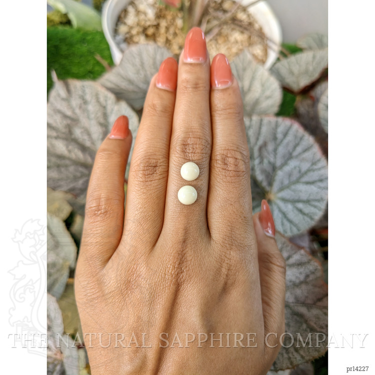 3.56 Ct.Tw. Salmon and White Cabochon Coral Pair from Italy