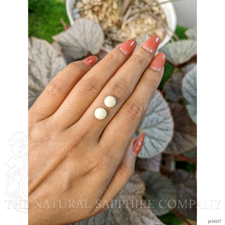 3.56 Ct.Tw. Salmon and White Cabochon Coral Pair from Italy